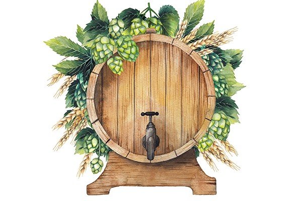 Illustrazione barile di birra