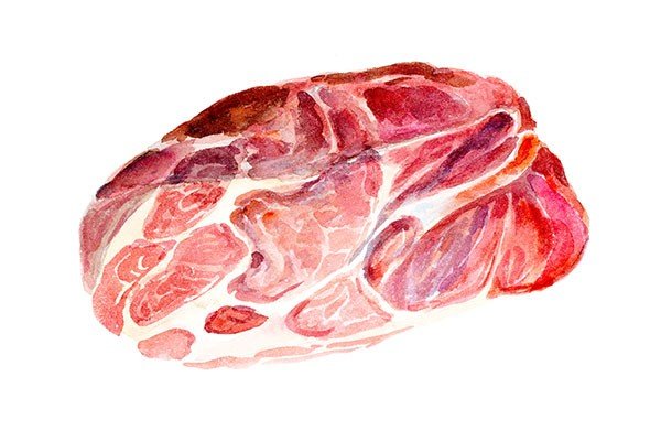 Illustration meat